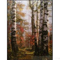 纯手工绘画原创风景油画,白桦树林中的红叶小道