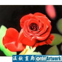 玫瑰花无框画系列5