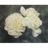玫瑰花无框画系列7