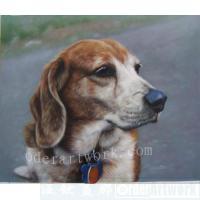 定制宠物手绘油画，照片定制纯手绘动物油画
